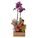 Cesta Café da Manhã ou Tarde Petit Orquídea