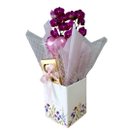 Cesta Orquídea e Bombons Florescer 