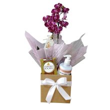 Cesta Lavínia Orquídea Aroma e Sabor