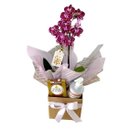 Cesta Lavínia Orquídea Aroma e Sabor