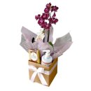Cesta Lavínia Orquídea Aroma e Sabor