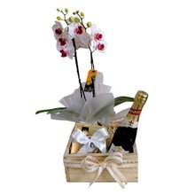 Linda Orquídea, Espumante e Finos Bombons 