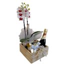 Linda Orquídea, Espumante e Finos Bombons 