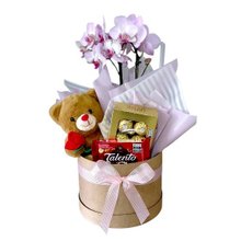 Cesta Suzy Chocolates, Orquídea e Pelúcia