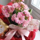 Cesta com Kalanchoe, Ferrero e Pelúcia
