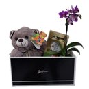 Cesta Bombons e Orquídea  
