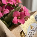 Caixa Flores, Chocolate e Loção