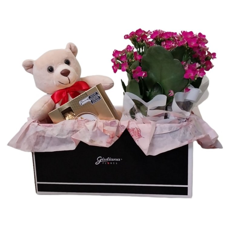 Cesta Urso Apaixonado