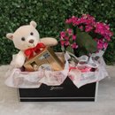 Cesta Urso Apaixonado