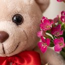 Cesta Urso Apaixonado
