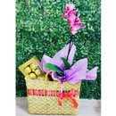 Orquídea na Bolsa