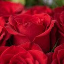 Cesta de Chocolate com Rosas Sedução
