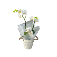 Orquídea Com Chaveiro de Pelúcia 