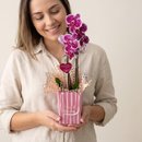 Mini Orquidea Love & Flowers 
