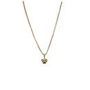 Conjunto Pet Lover