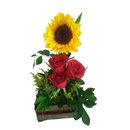 Arranjo de Girassol com Rosas Vermelhas - Amor com Luz