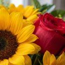 Buquê de Girassóis com Rosas Vermelhas - Luz e amor