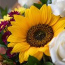 Buquê de Flores Variadas, Girassol, Rosas e Astromélia