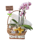 Cesta Orquidea Encanto