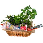 Cesta De Jardinagem