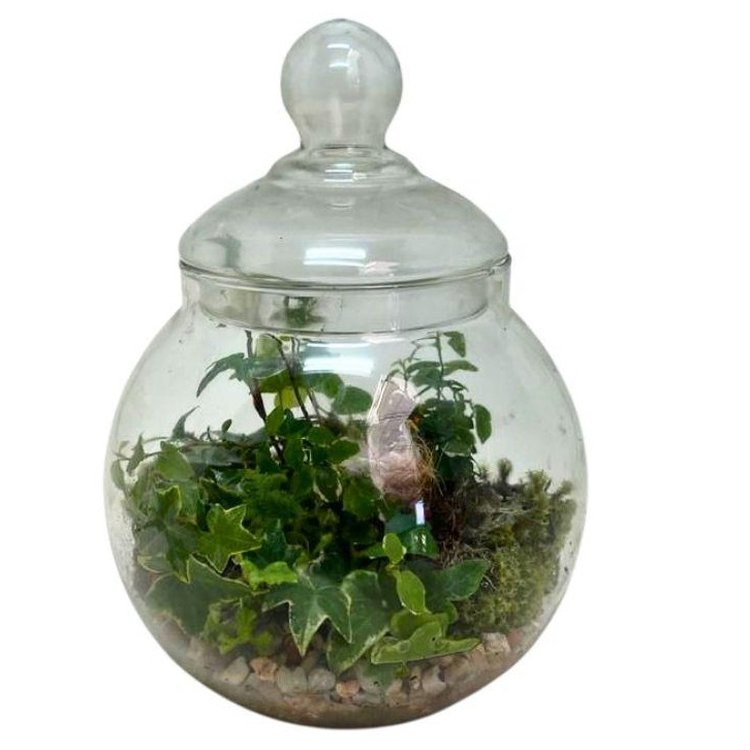 Terrário Com Miniatura