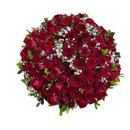 Buquê 150 Rosas Vermelhas - Vila Velha