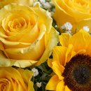 Buquê Encanto Dourado de Girassóis e Rosas