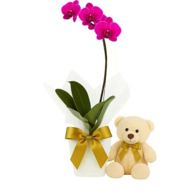 Encanto de Orquídea com Ursinho