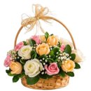 Cesta de 15 Rosas em Tons Suaves