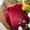 Buque de Rosas Vermelho