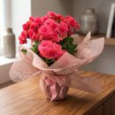 Begônia Rosa Para Presente
