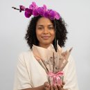 Orquídea Phalaenopsis Roxa Para Presente