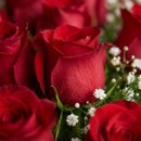 Surpreendente Buquê com 50 Rosas