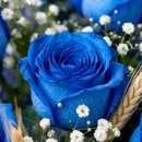 Perfeito Buquê Azul