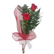 Buquê Sonhos de 2 Rosas