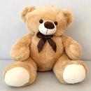 Urso Apaixonado Dia dos Namorados