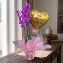 Orquidea Feliz dia 
