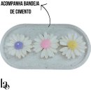 Box Primavera