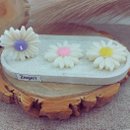 Box Primavera