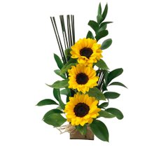 Arranjo De Girassóis Energia