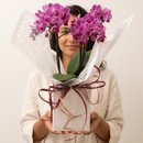 Orquídea Encanto Para Presente