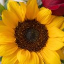 Buquê Luz E Amor 