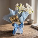 Orquidea Bella Blue 