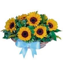 Arranjo de Girassóis em Cesto