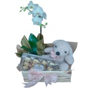 Arranjo com Orquidea, Pelúcia e Chocolate