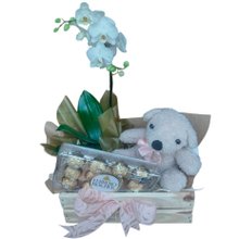 Arranjo com Orquidea, Pelúcia e Chocolate