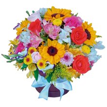 Big Box Parabéns Para Você