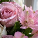 Buquê Delicado de Rosas e Astromélias