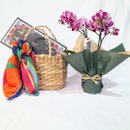 Kit Mimos Lenço Scarf Me, Orquídea e Sacola de Palha 