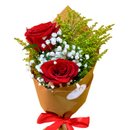 Mimo Encantador de Rosas